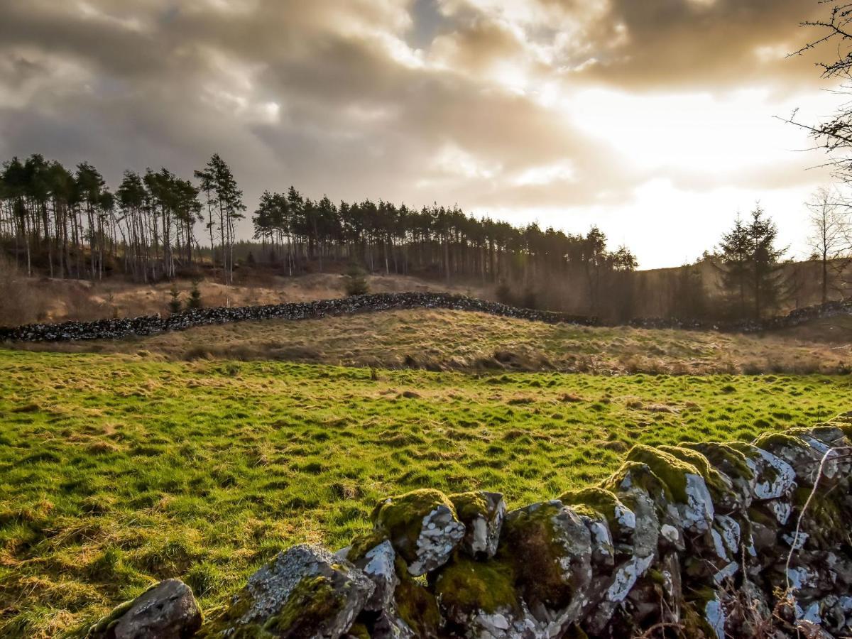 Borgan Cottage Newton Stewart Exteriér fotografie